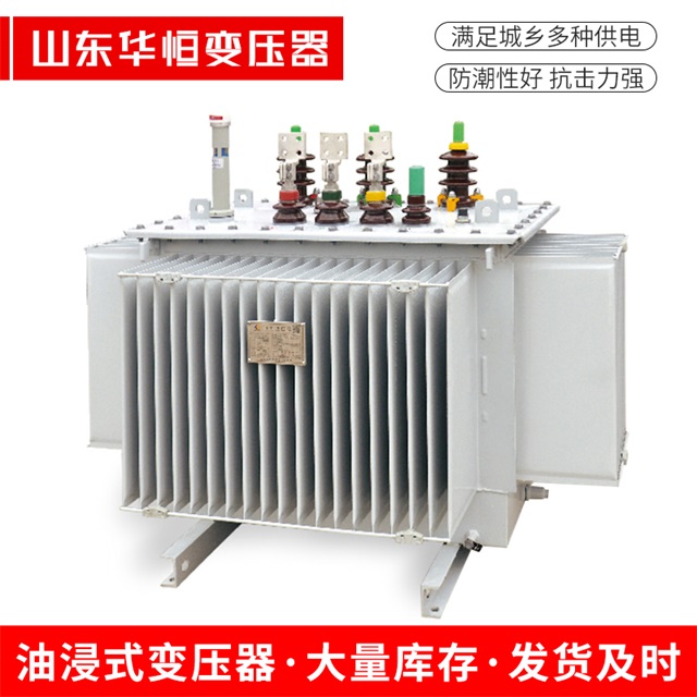 S13-10000/35广水广水广水电力变压器