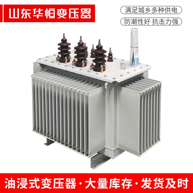 S13-10000/35广水广水广水油浸式变压器厂家
